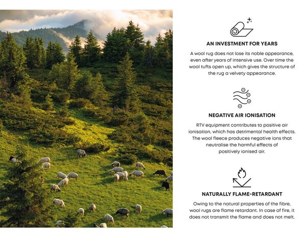 covoare lana beneficii